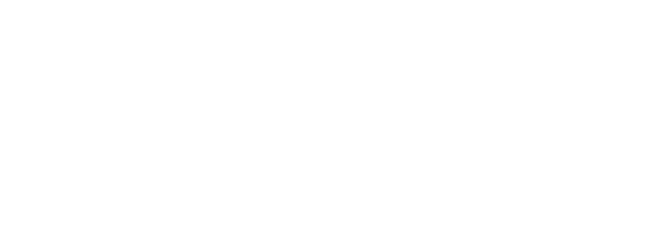 SaHassaNet Logo